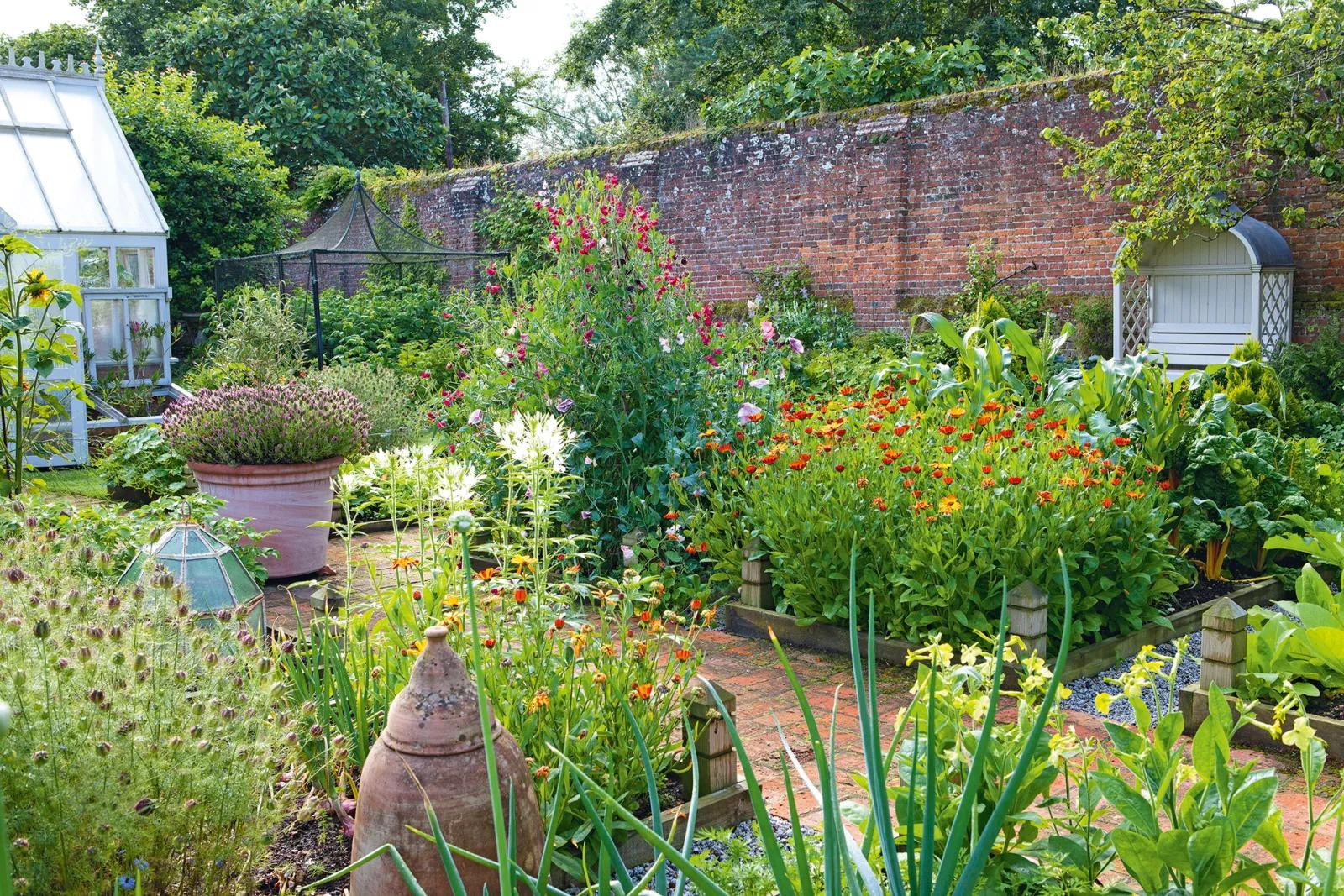 a beautiful garden with flowers